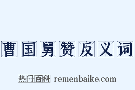 曹国舅赞反义词是什么意思的图片